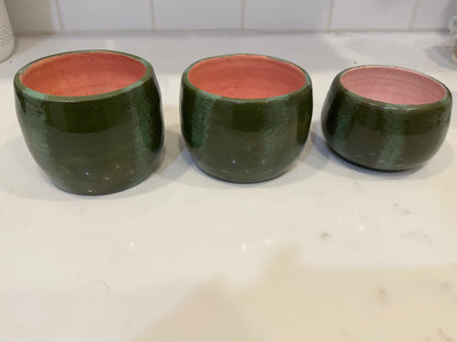 Watermelon planter