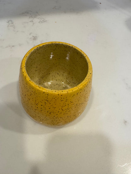 Lemon tumbler