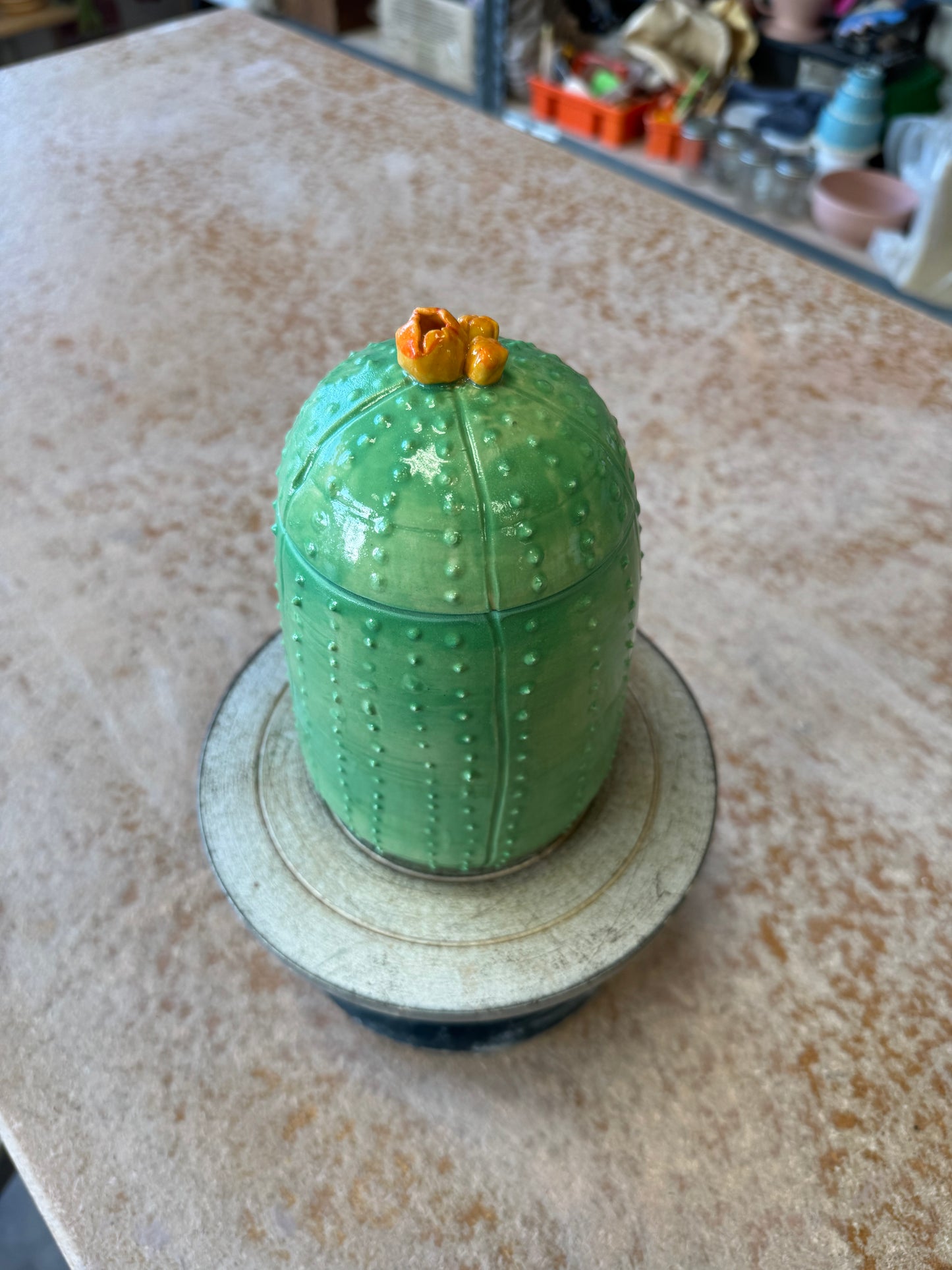 Cactus Jar