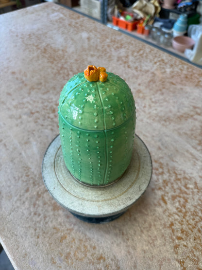 Cactus Jar